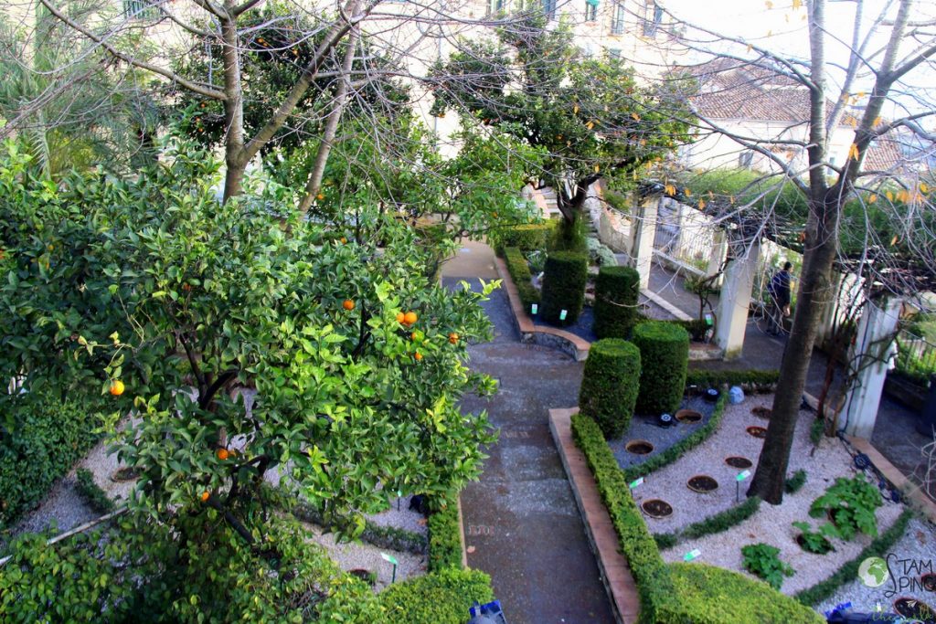 aiuole - Giardino della minerva, salerno, orto botanico