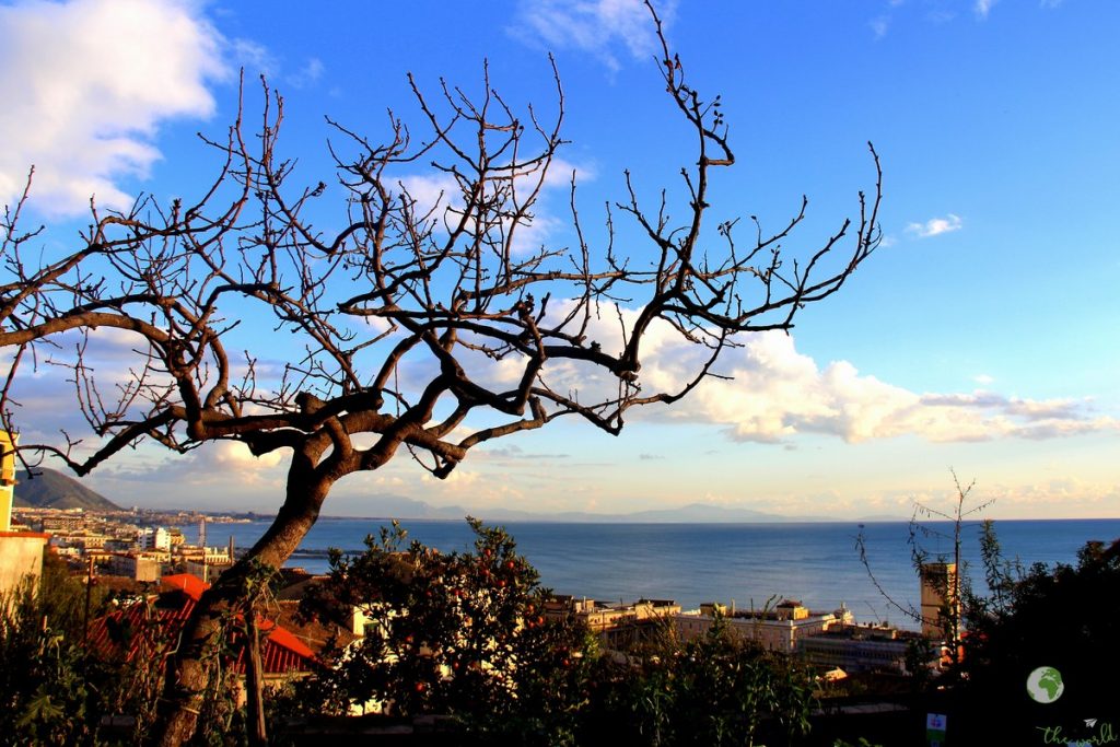 panorama - Giardino della minerva, salerno, orto botanico