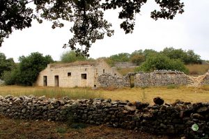 Parco dell'alta murgia Jazzo